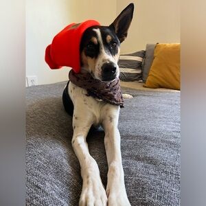 Meet your Posher, Tiff